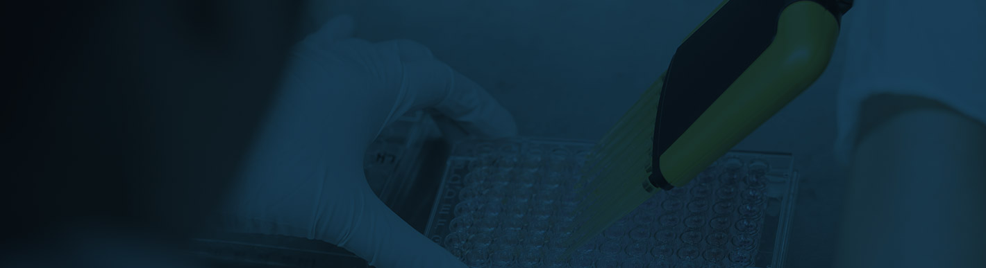Pk Assay For Antibody Quantification In Sodium Heparin Plasma