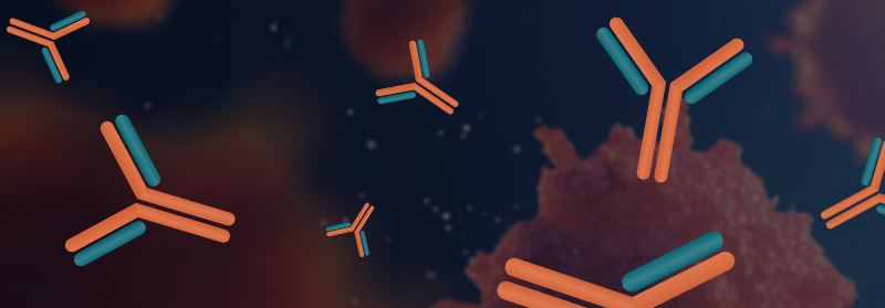 Webinar immune response background illustration