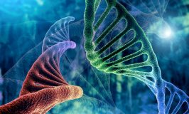 DNA strand and Cancer Cell Oncology