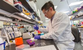 Scientist working in exploratory biomarker testing