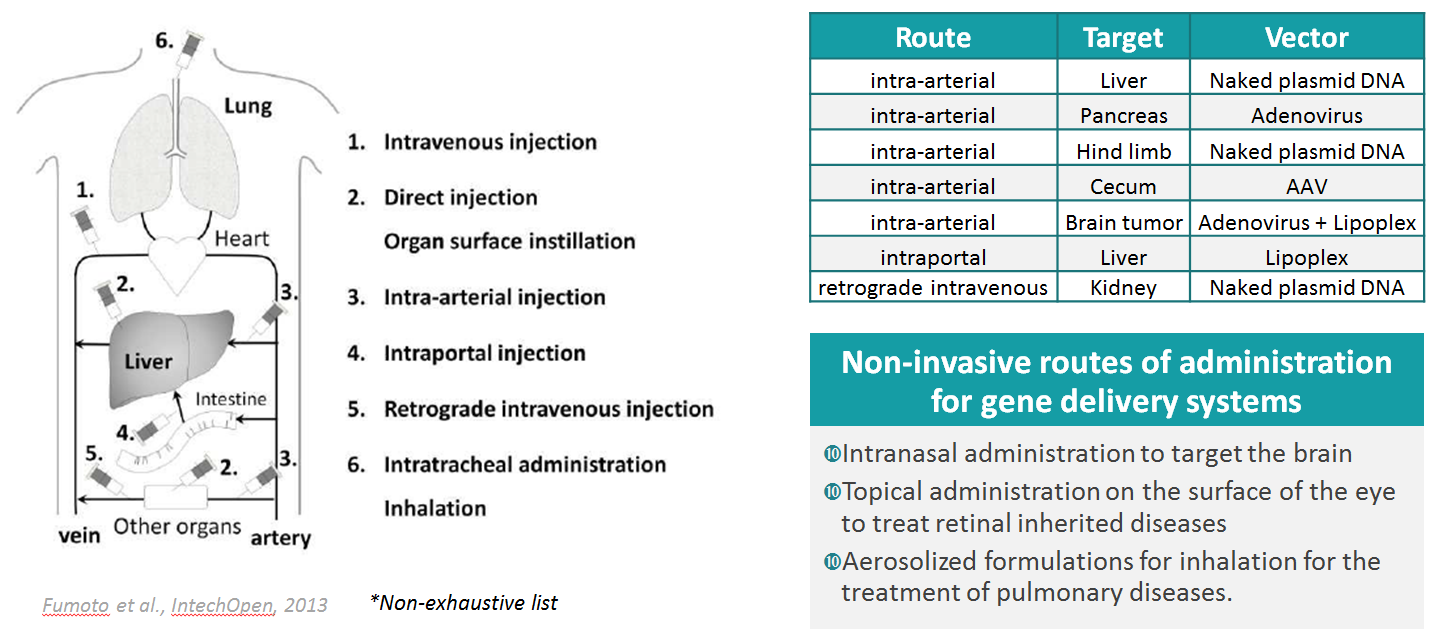 gene therapy routes of administration