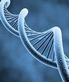 NAb analysis for gene therapies & biologics