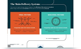 “Gene Therapy Innovation, Delivered” Infographic on Modified & Novel Vehicles