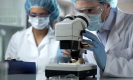 Researchers viewing biosamples