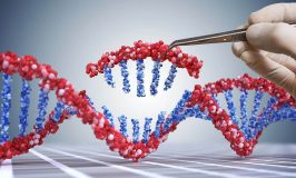 DNA splicing genetic engineering