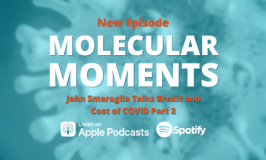 Molecular Moments Episode 8 Banner