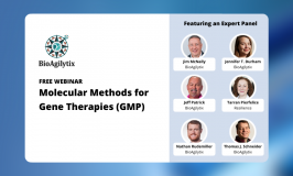 Molecular Methods for Gene Therapies (GMP)