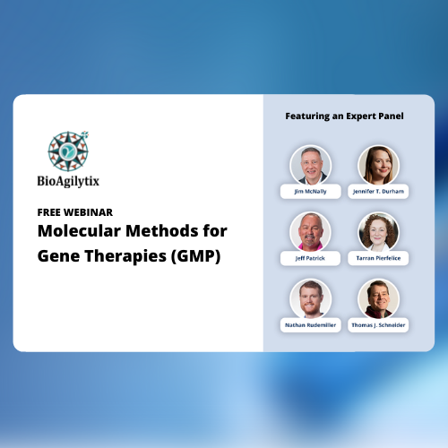 Molecular Methods for Gene Therapies (GMP)