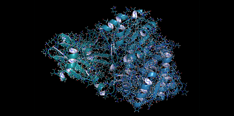|protein structure illustration