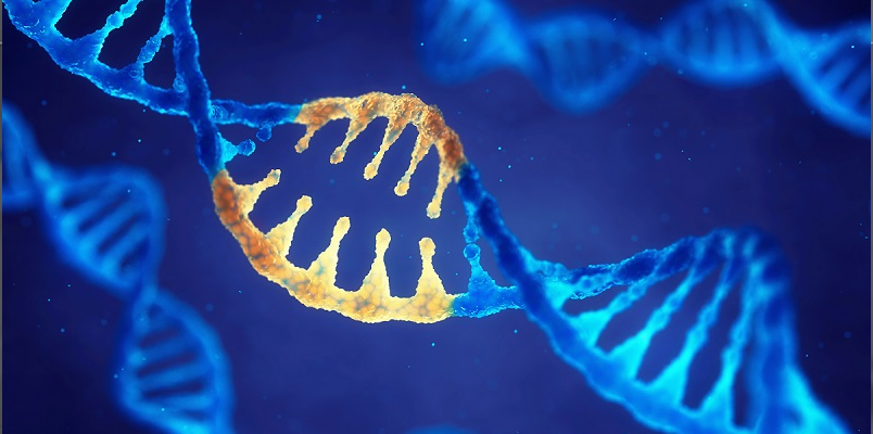 |Correcting mutation by genetic engineering