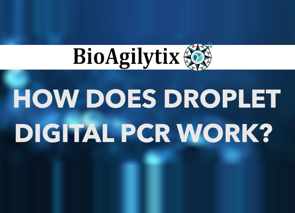 How does droplet digital PCR Work?