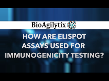 How are ELISpot assays used for immunogenicity testing?