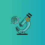 microscope illustration