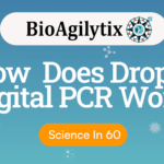 how does droplet digital pcr work