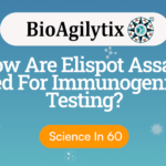 BioAgilytix banner how are elispot assays used for immunogenicty