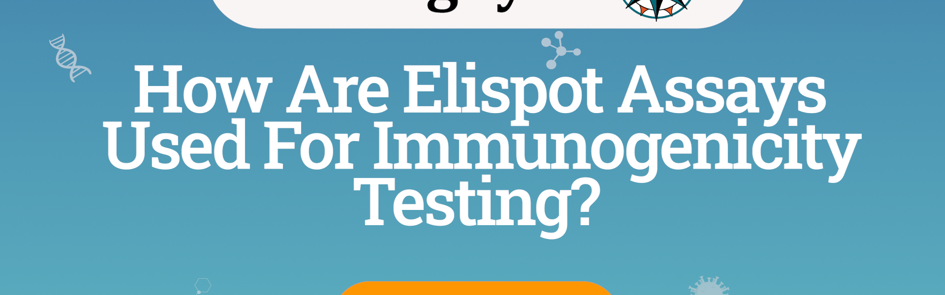BioAgilytix banner how are elispot assays used for immunogenicty