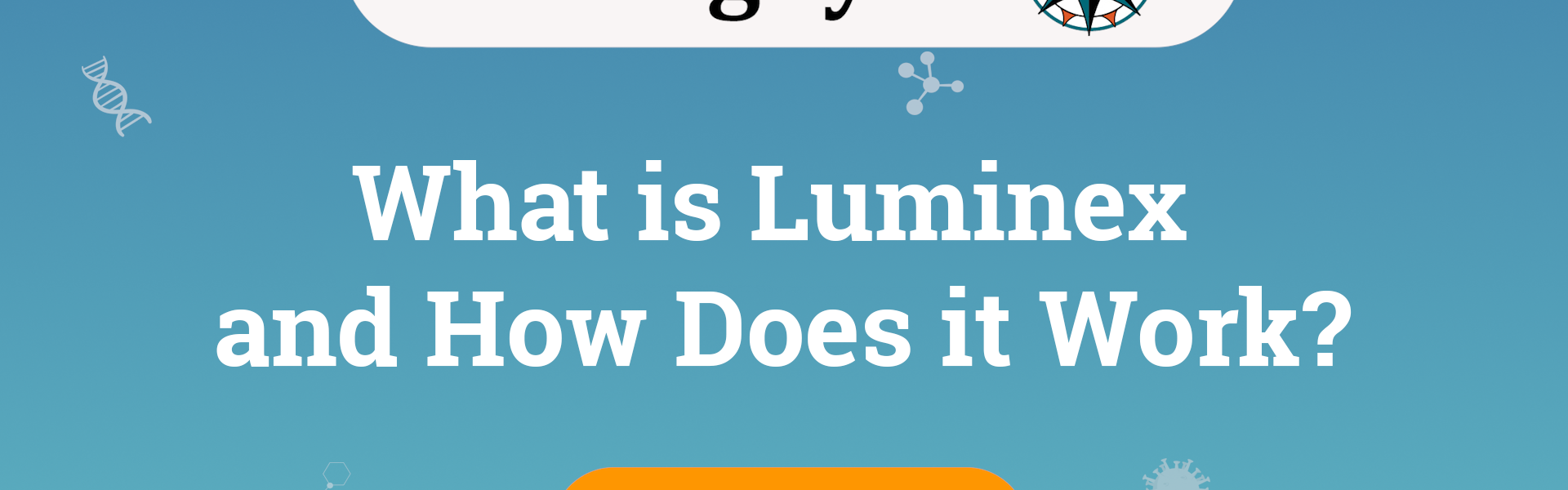 what is luminex and how does it work