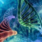 DNA strand and Cancer Cell Oncology Research Concept 3D rendering, abstract background, mixing of two structures,