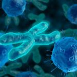bacteria invade chromosome