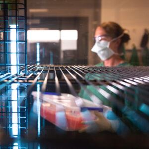 Virology | BioAgilytix
