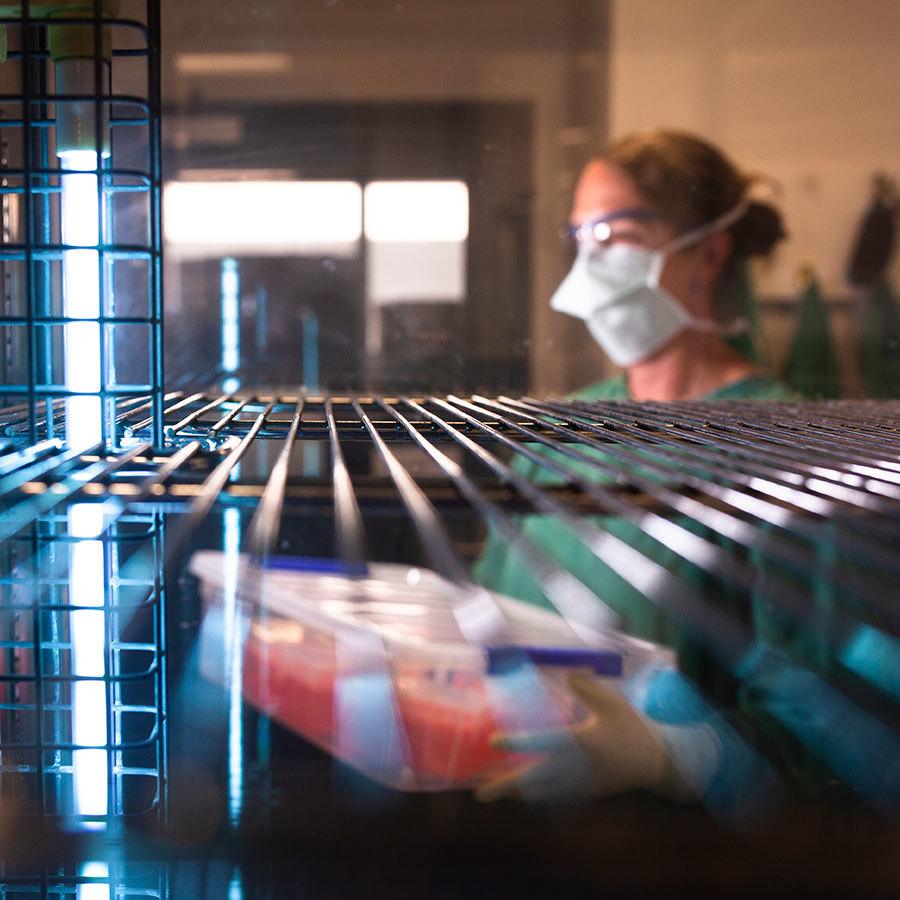 scientist storing samples in fridge