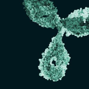 antibody in green