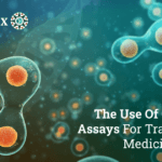 the use of cell-based assays for translational medicine studies