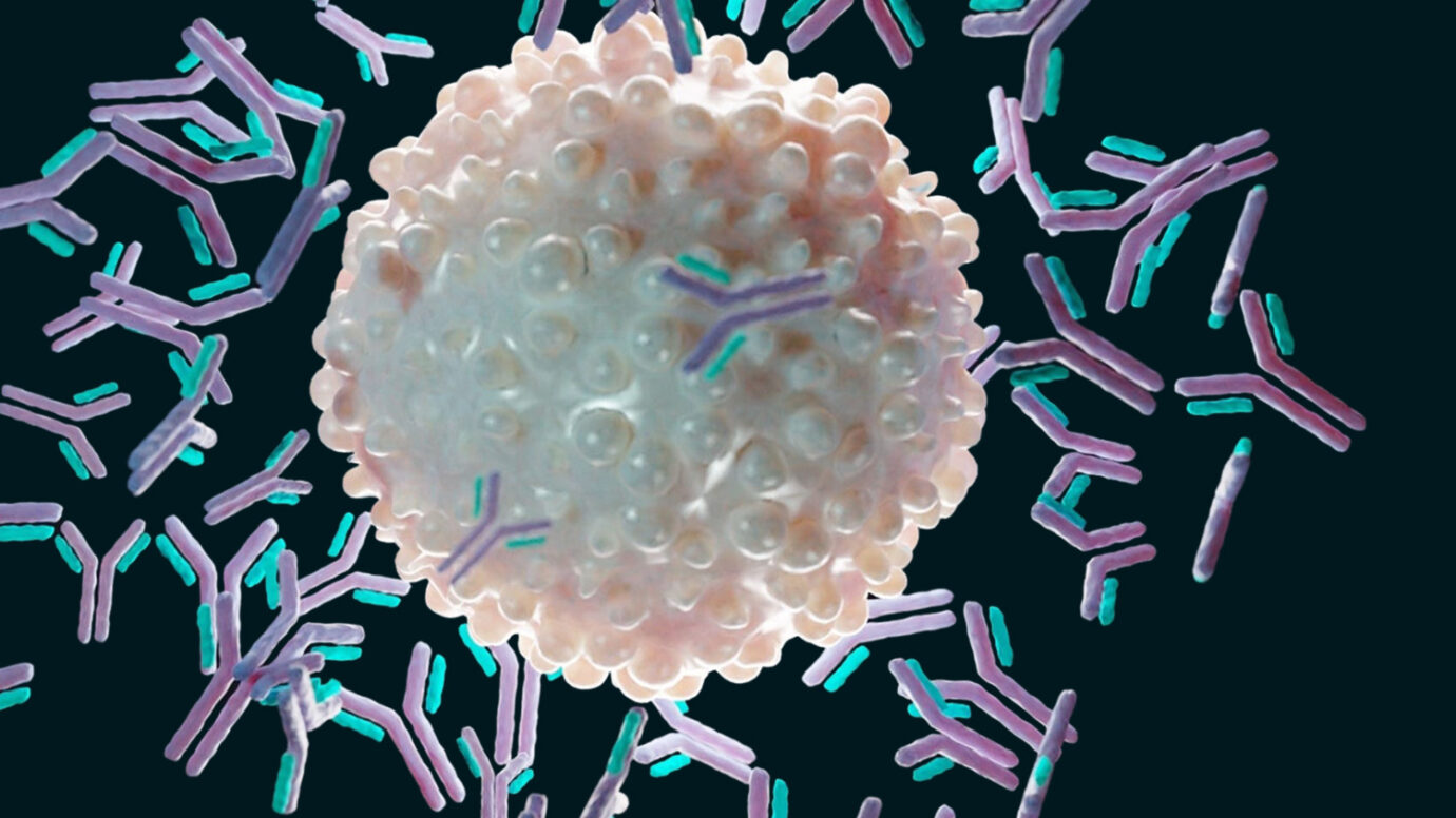 immuno cell rendering