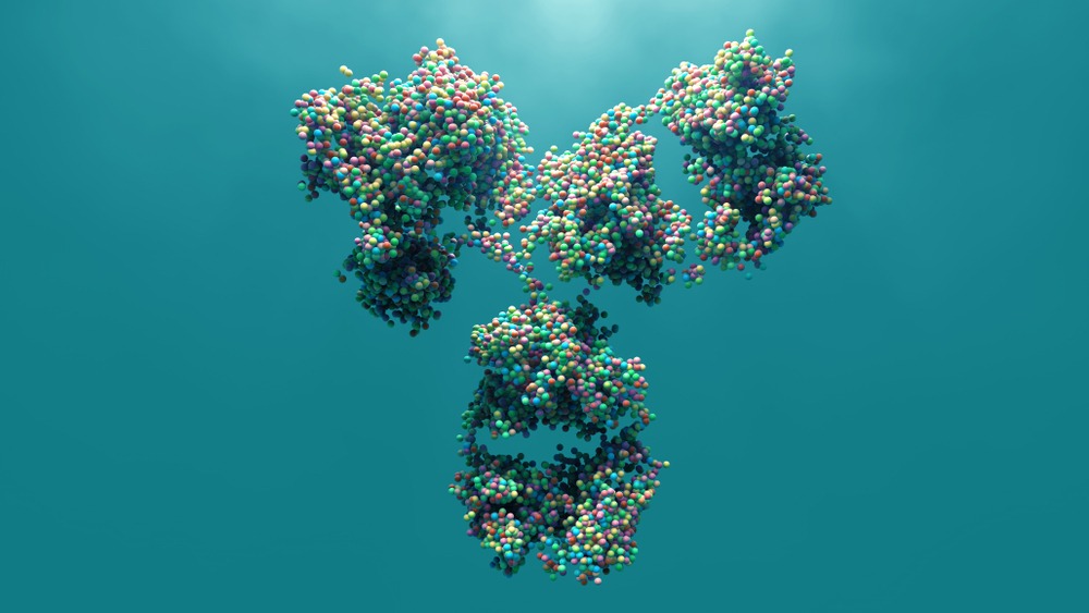 Antibody rendering