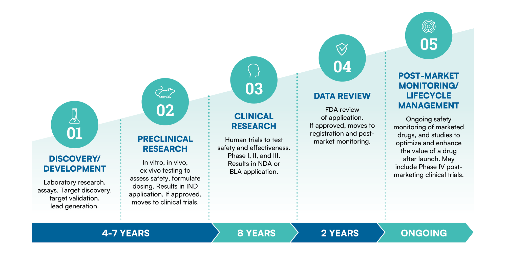 Clinical Drug Development Process Global CRO BioAgilytix Clinical Drug Development Process Global CRO BioAgilytix