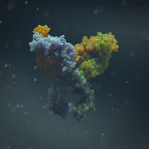 Biosimilars, Antibody